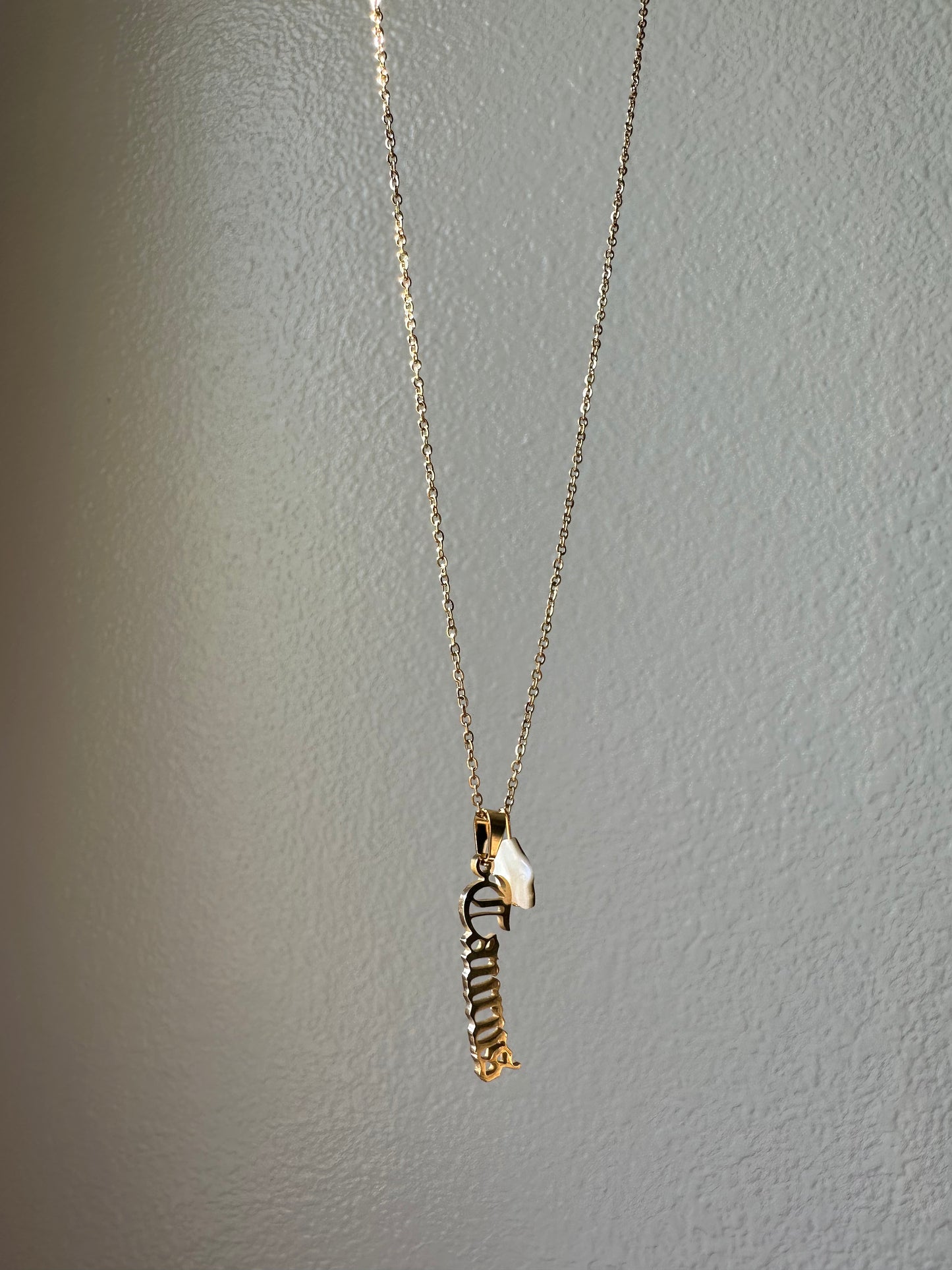 Custom Zodiac Shell Pendant Necklace
