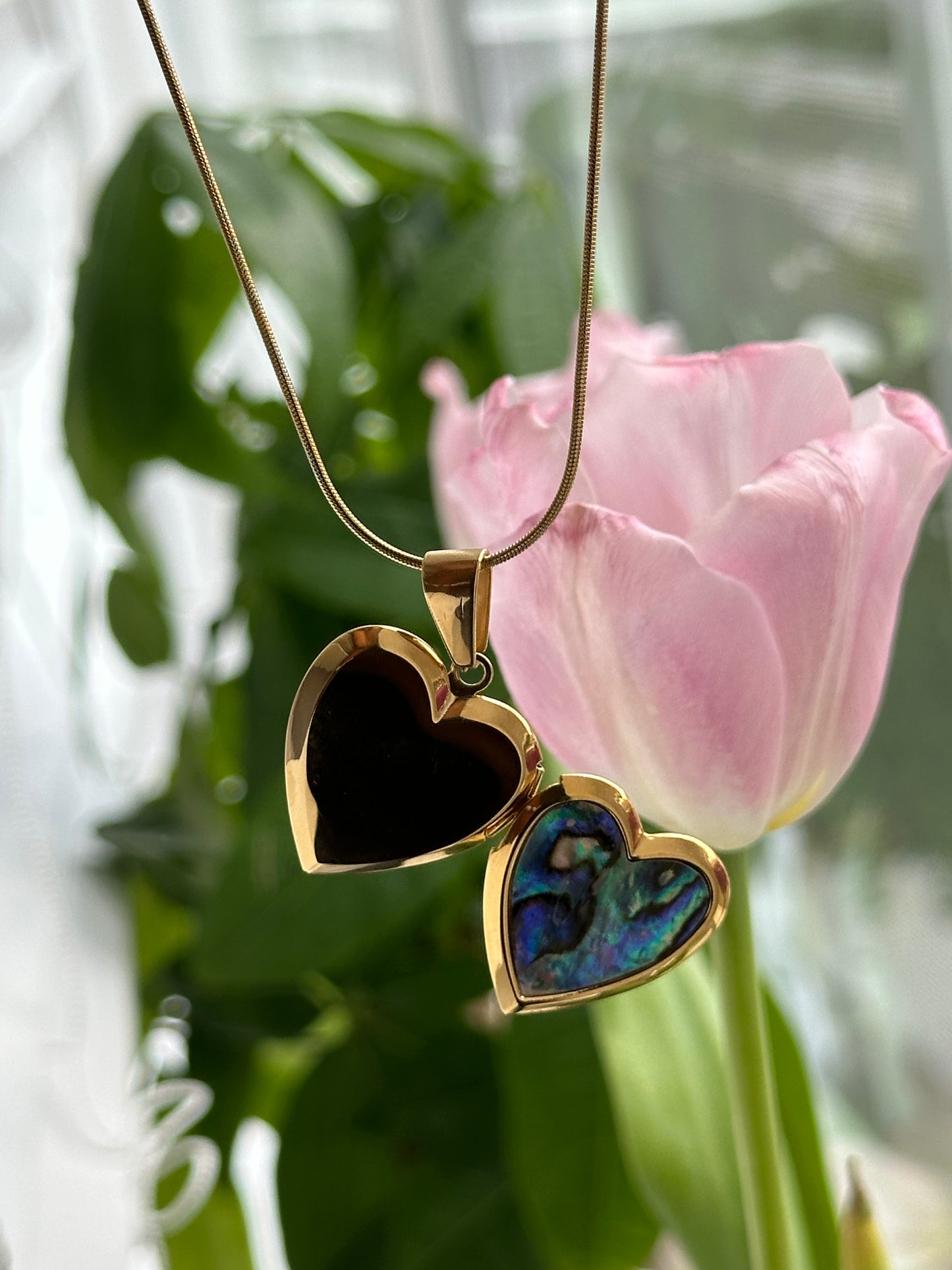 Shell Heart Locket Necklace