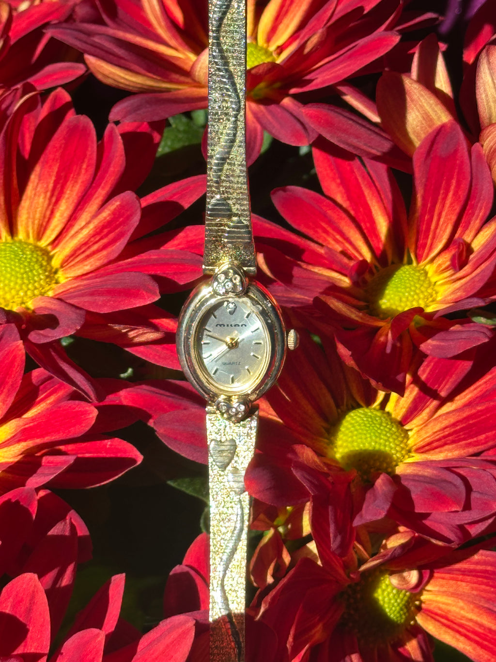 Heart Watch