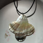 Shell Pendant Necklaces