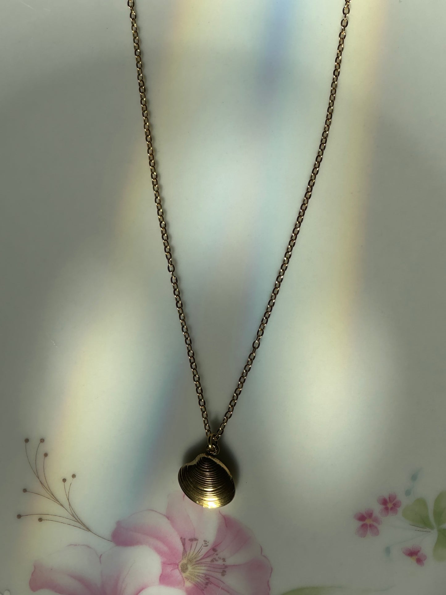 Seashell Pendant Necklace