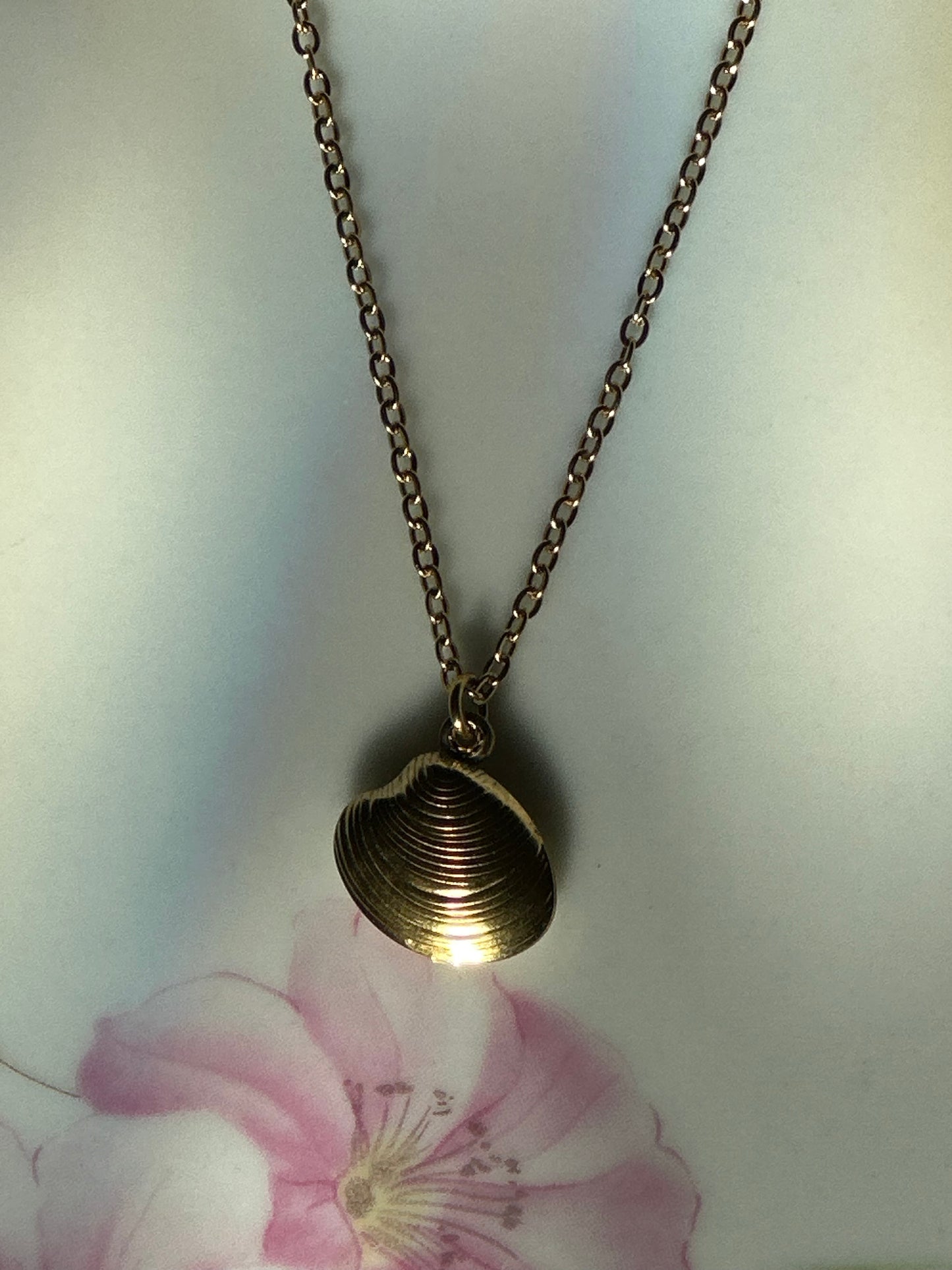 Seashell Pendant Necklace