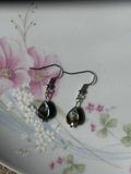 Abalone Shell Dangle Earrings